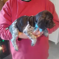 processed/a2194bc6-9d67-4e6b-adfe-9e345c36a889/listing/cf2e45c9-d8f0-4b85-bc04-093b76b51410/09fe52ec-239c-43bb-b567-9fc76a7b1241