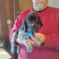 processed/a2194bc6-9d67-4e6b-adfe-9e345c36a889/listing/cf2e45c9-d8f0-4b85-bc04-093b76b51410/3d40704e-f423-4f1e-abfe-5f7a6625f0b8