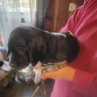 processed/a2194bc6-9d67-4e6b-adfe-9e345c36a889/listing/cf2e45c9-d8f0-4b85-bc04-093b76b51410/3ffea685-9b93-4770-b03b-1a51e696f77a