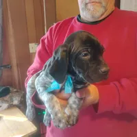 processed/a2194bc6-9d67-4e6b-adfe-9e345c36a889/listing/cf2e45c9-d8f0-4b85-bc04-093b76b51410/4532c3fe-adf7-4c13-ba8c-361a3f425bbf