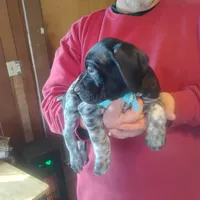 processed/a2194bc6-9d67-4e6b-adfe-9e345c36a889/listing/cf2e45c9-d8f0-4b85-bc04-093b76b51410/9f2514ba-c98a-4414-87bf-3f4cefce3fb4