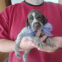 processed/a2194bc6-9d67-4e6b-adfe-9e345c36a889/listing/e8c9e50a-7238-4c6d-b905-8a78bf5850d0/0e167272-7a08-4400-9bb3-b2ccd0314e27