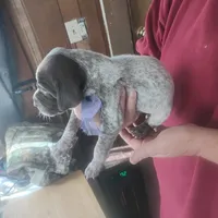 processed/a2194bc6-9d67-4e6b-adfe-9e345c36a889/listing/e8c9e50a-7238-4c6d-b905-8a78bf5850d0/1964b050-6bc7-4037-9e4a-dac7a8ba50e5