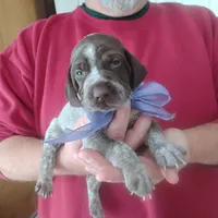 processed/a2194bc6-9d67-4e6b-adfe-9e345c36a889/listing/e8c9e50a-7238-4c6d-b905-8a78bf5850d0/8cca2fff-faa4-423c-a2da-e6219af2108a