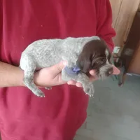 processed/a2194bc6-9d67-4e6b-adfe-9e345c36a889/listing/e8c9e50a-7238-4c6d-b905-8a78bf5850d0/90d53f5b-8030-4c55-b9c6-35fc4fb2cb08