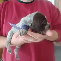 processed/a2194bc6-9d67-4e6b-adfe-9e345c36a889/listing/e8c9e50a-7238-4c6d-b905-8a78bf5850d0/9a280bfd-0fda-4dab-8179-654da03a2eee