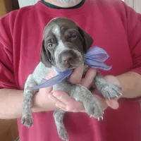 processed/a2194bc6-9d67-4e6b-adfe-9e345c36a889/listing/e8c9e50a-7238-4c6d-b905-8a78bf5850d0/dd5afbe6-a4a7-49f6-b276-87eb12af30f7