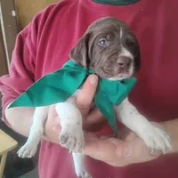 processed/a2194bc6-9d67-4e6b-adfe-9e345c36a889/listing/eb9cd5ea-aeb4-44f9-9192-d1d838d9fff1/09c4d31e-fb5d-4c99-a1b2-d917ebb7c42b