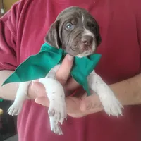 processed/a2194bc6-9d67-4e6b-adfe-9e345c36a889/listing/eb9cd5ea-aeb4-44f9-9192-d1d838d9fff1/0e6892e2-02ca-40bd-803c-58678c4064b7