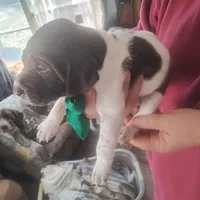 processed/a2194bc6-9d67-4e6b-adfe-9e345c36a889/listing/eb9cd5ea-aeb4-44f9-9192-d1d838d9fff1/74c7e884-76f4-4e25-8671-aa50c5e20d11