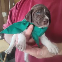 processed/a2194bc6-9d67-4e6b-adfe-9e345c36a889/listing/eb9cd5ea-aeb4-44f9-9192-d1d838d9fff1/d1ebb171-9739-4599-b79e-f05fe113a8ba