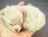 processed/a2287b72-82f6-4593-90a6-e2ddb316cc97/facility/060cbeb1-91e5-4e06-b993-b131e5865e49