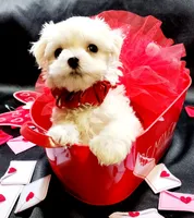 processed/a2287b72-82f6-4593-90a6-e2ddb316cc97/facility/10c6ddbe-c474-4c4a-bd74-00ec7c9dd446