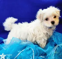 processed/a2287b72-82f6-4593-90a6-e2ddb316cc97/facility/12b4de51-9579-4f8d-aed3-d762721ab590