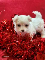 processed/a2287b72-82f6-4593-90a6-e2ddb316cc97/facility/91c0b6ea-b632-4f85-b826-c3f17fd232fc