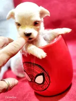 processed/a2287b72-82f6-4593-90a6-e2ddb316cc97/facility/b7ad302b-6aef-4ac1-aede-fa6808d27f23