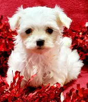 processed/a2287b72-82f6-4593-90a6-e2ddb316cc97/facility/ec075dc6-8e11-4667-8d7c-008d4b800bf1