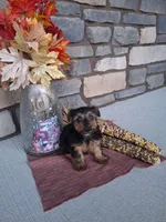 processed/a22ad88d-c962-42be-b6e4-b3a0c6dee9a0/listing/c0578948-8156-4790-a5aa-0ead09d73e0e/1b9816f2-a3c6-4bf7-b96f-ee7f30829138