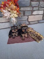 processed/a22ad88d-c962-42be-b6e4-b3a0c6dee9a0/listing/c0578948-8156-4790-a5aa-0ead09d73e0e/2b3352ce-d541-416d-b077-af24ae447499