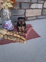 processed/a22ad88d-c962-42be-b6e4-b3a0c6dee9a0/listing/c0578948-8156-4790-a5aa-0ead09d73e0e/b80307f7-1b1d-4c8a-9c3e-39959bdf3ad3