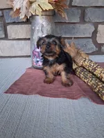 processed/a22ad88d-c962-42be-b6e4-b3a0c6dee9a0/listing/c0578948-8156-4790-a5aa-0ead09d73e0e/e8a47ffb-cf9d-405b-b521-0d7464186658