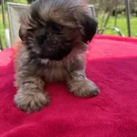 processed/a2301e8b-9c0e-40d8-a39d-46ad655bd617/facility/71b39c65-67bf-41a5-a6b5-5968998536e4