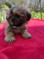 processed/a2301e8b-9c0e-40d8-a39d-46ad655bd617/facility/71b39c65-67bf-41a5-a6b5-5968998536e4