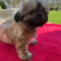 processed/a2301e8b-9c0e-40d8-a39d-46ad655bd617/facility/b6c832bf-cbee-4f88-8b2e-f916e9352a54