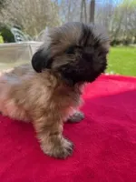 processed/a2301e8b-9c0e-40d8-a39d-46ad655bd617/facility/b6c832bf-cbee-4f88-8b2e-f916e9352a54