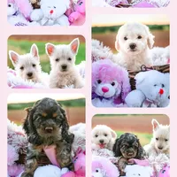 processed/a2435fd7-4b6c-4d6d-b18d-7fcf917d2a95/facility/56f70413-ac58-4ada-bad1-f963aa26e6ff