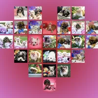 processed/a2435fd7-4b6c-4d6d-b18d-7fcf917d2a95/facility/acd837c1-8bbb-433d-8249-5f8f8e906e6f