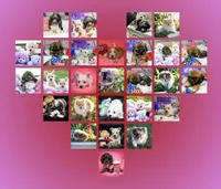 processed/a2435fd7-4b6c-4d6d-b18d-7fcf917d2a95/facility/acd837c1-8bbb-433d-8249-5f8f8e906e6f