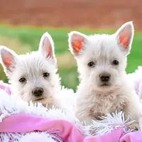 processed/a2435fd7-4b6c-4d6d-b18d-7fcf917d2a95/facility/d7e88315-d65a-4c9b-b6cd-7f2ebcda648a