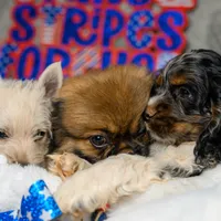 processed/a2435fd7-4b6c-4d6d-b18d-7fcf917d2a95/facility/dee8213b-2860-48c2-8bbc-1c3973f49d6f