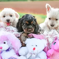 processed/a2435fd7-4b6c-4d6d-b18d-7fcf917d2a95/facility/ec3163c7-dbcd-4bd4-b1c7-8d6617fed0be