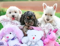 processed/a2435fd7-4b6c-4d6d-b18d-7fcf917d2a95/facility/ec3163c7-dbcd-4bd4-b1c7-8d6617fed0be