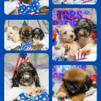 processed/a2435fd7-4b6c-4d6d-b18d-7fcf917d2a95/facility/fc2b7d76-2f58-4e2d-85b8-10212845181d