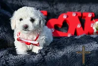 processed/a2435fd7-4b6c-4d6d-b18d-7fcf917d2a95/listing/4c2a2e02-3f33-497f-bcc3-33ad74e5f244/4c38e834-499a-494e-b315-3f63cfc6fe98