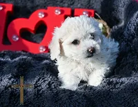 processed/a2435fd7-4b6c-4d6d-b18d-7fcf917d2a95/listing/4c2a2e02-3f33-497f-bcc3-33ad74e5f244/6a28f77d-8032-4dce-b601-b7f6cc9e7f4d