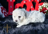 processed/a2435fd7-4b6c-4d6d-b18d-7fcf917d2a95/listing/4c2a2e02-3f33-497f-bcc3-33ad74e5f244/8feef529-6e1f-4c09-8d96-c5cef152c55b