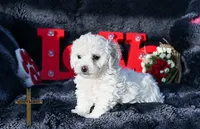 processed/a2435fd7-4b6c-4d6d-b18d-7fcf917d2a95/listing/4c2a2e02-3f33-497f-bcc3-33ad74e5f244/e6b217a5-989d-48bc-967d-3670c0ab8fb7