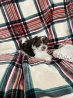 processed/a2481cac-b261-4dd1-b9a7-bd864ab032b2/listing/41a246b5-f1d2-4cd9-9470-4e24aca34ce4/9aa7901d-0a77-44a6-ae20-51d654f785ba