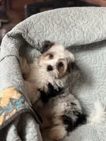 processed/a2481cac-b261-4dd1-b9a7-bd864ab032b2/listing/e3079c67-a32e-449c-b64d-eaa065536f77/158bb466-baea-401c-93b9-e72f3051824e