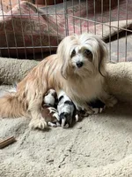 processed/a2481cac-b261-4dd1-b9a7-bd864ab032b2/listing/e3079c67-a32e-449c-b64d-eaa065536f77/6c01e58a-f75c-4045-b5d2-427025ce1a45