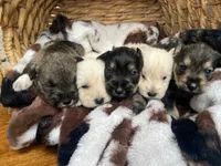 processed/a2488f89-ec6e-4a85-824f-39bdbe407802/listing/0e9d68e3-a236-49c9-a1f8-9e6caa2d1390/175df497-613e-4a85-a8f0-d4990a29b0a8