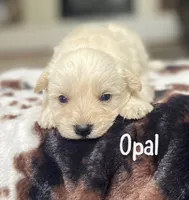 processed/a2488f89-ec6e-4a85-824f-39bdbe407802/listing/0e9d68e3-a236-49c9-a1f8-9e6caa2d1390/9a9497fe-44f9-4b62-9d06-e8b0e5c219d8