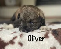 processed/a2488f89-ec6e-4a85-824f-39bdbe407802/listing/837965c3-b22e-4df6-8791-5a58556c539a/10d17eb3-929f-4644-bf44-1c7b7a6e01d8