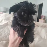 processed/a24e19c8-ba3c-4501-9b15-50e786f2c00d/listing/5c037799-4f1b-41fe-9b02-b61cd64e2e64/080adba7-cf8f-45de-84a7-be7b3217136e