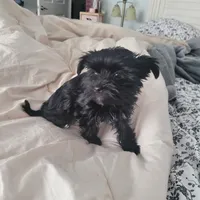 processed/a24e19c8-ba3c-4501-9b15-50e786f2c00d/listing/5c037799-4f1b-41fe-9b02-b61cd64e2e64/439d7598-8752-499c-b533-c8e80595ea80