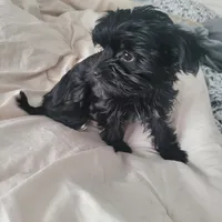 processed/a24e19c8-ba3c-4501-9b15-50e786f2c00d/listing/5c037799-4f1b-41fe-9b02-b61cd64e2e64/4c408b7f-496f-4bae-91d1-eb3beff2a9f9